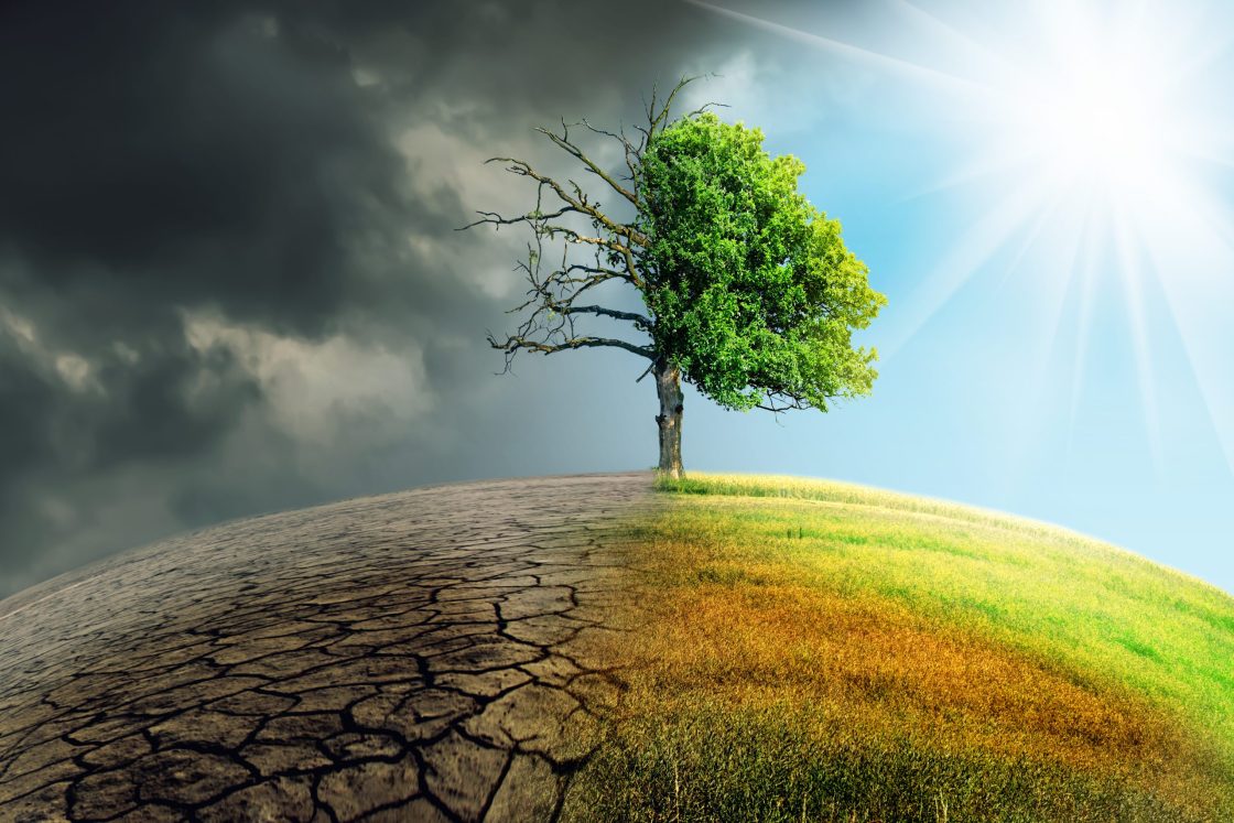 Alterações Climáticas e Sustentabilidade
